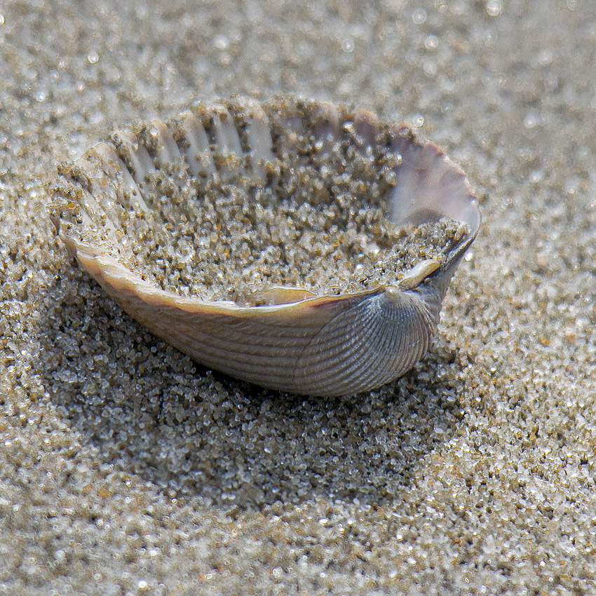 4711 Holland 04-2014 ---20140420_0263-1 Kopie.jpg